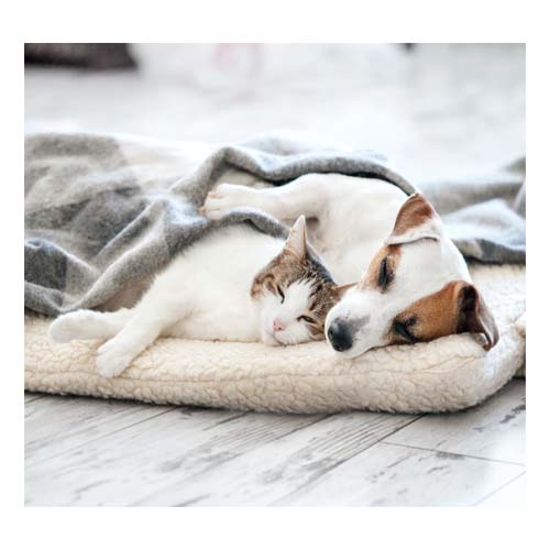 comodidad-del-paciente