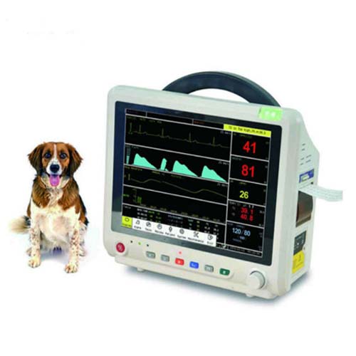 monitores-de-cuidados-intensivos